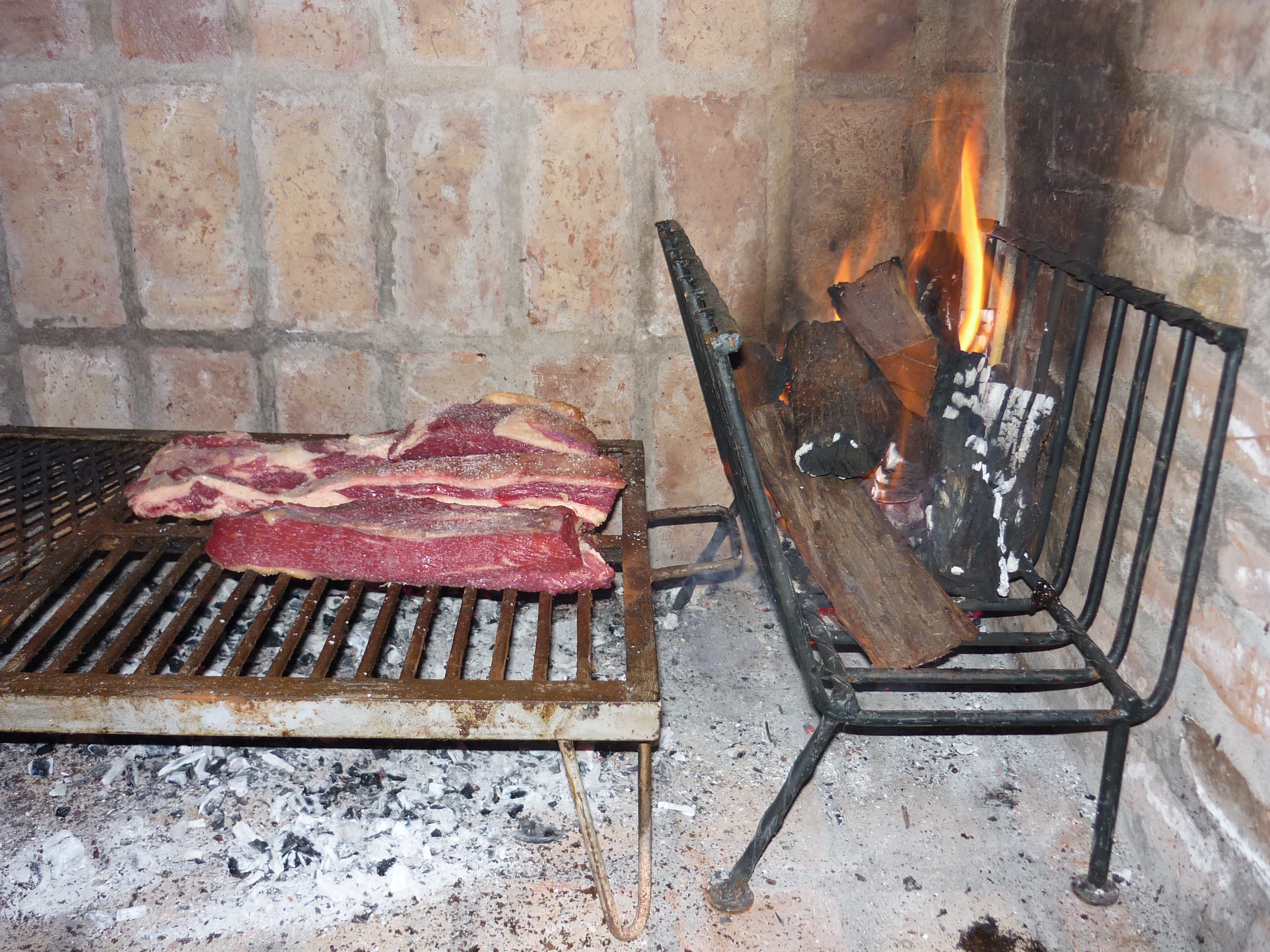 fotos/2010-05-15 - Inauguracion parrilla de afuera/P1010161.JPG